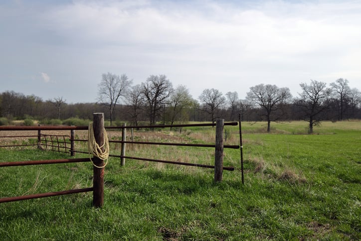 Northern Illinois Family History | Ancestors2Illinois