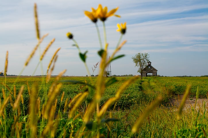 Northern Illinois Family History between 1834 and 1896