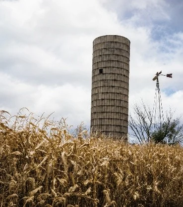 Silo and windmill from Mason farm, 1985