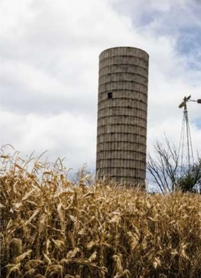 Old concrete stave silo and a farm windmill standing in a field, all that remained of the Mason farm in 1985