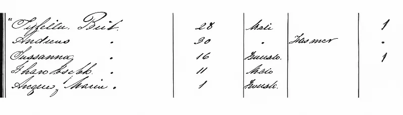 Handwritten 1855 ship passenger list with entries for Susanna, her mother and her brother